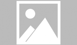 91贡虾米直播,带你领略美食与娱乐的完美融合